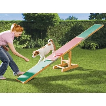 Sparset: Agility Wippe, Sprungring & Slalom-Stangen, 3-teilig - Wippe + Sprungring + 12 Stangen