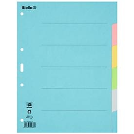 Biella Register Karton blanko A4, 6-teilig