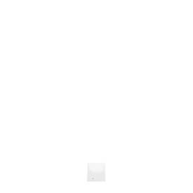 Flachbeutel 25µ, 100 x 120 mm, 1000 St.