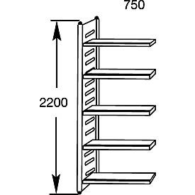 Regalfeld, 2200 x 1000 x 600 mm