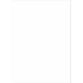 Schäfer Shop Select Power Etiketten 210,0 x 297,0 mm