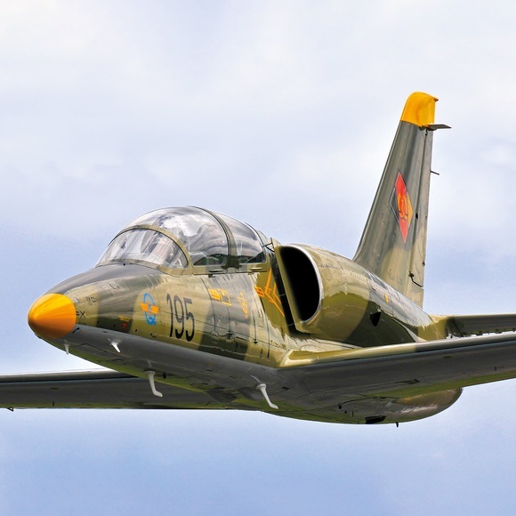 Pilot für einen Tag in Kalifornien: Adrenalinrausch an Bord eines L-39 Albatros-Kampfjets