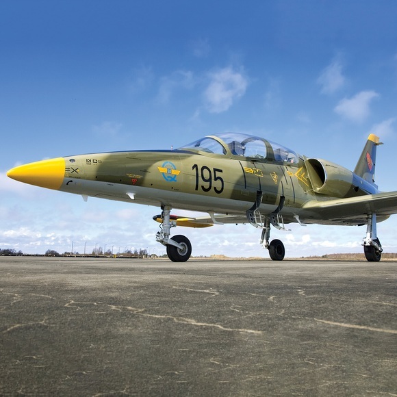 Pilot für einen Tag in Florida: 30-minütiger Flug im L-39 Albatros Kampfjet