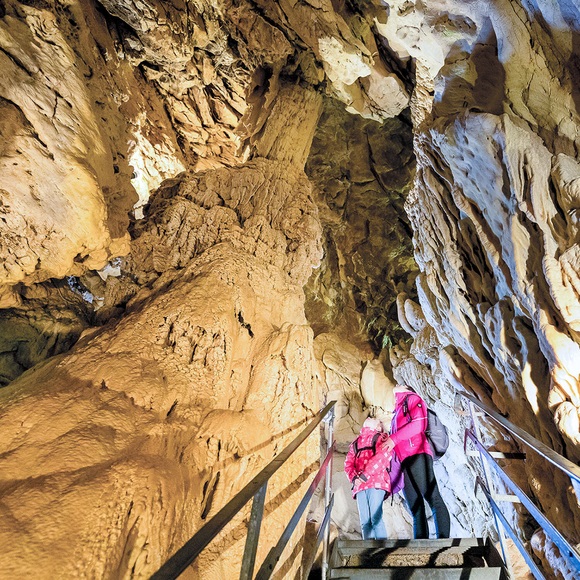 Entdecken Sie Die Schweiz: Besuch Der Vallorbe-höhlen Für 2 Erwachsene Und 2 Kinder - Geschenkbox Unisex