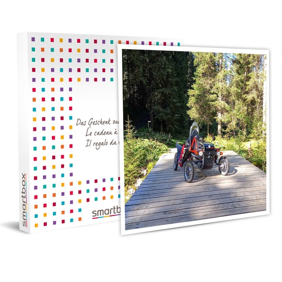 Eine 2 Std. 30 Min. Tandem-swincar Fahrt In Der Nähe Von Montreux - Geschenkbox Unisex