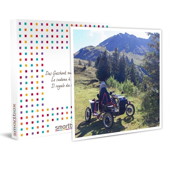 1 Swincar-einzelsitzer-fahrt (3 Std.) In Collombey - Geschenkbox Unisex