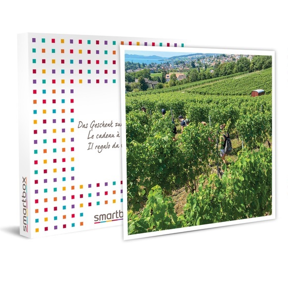Spaziergang Durch Die Neuchâteler Weinberge Mit Degustation In Den Kellern Von Béroche - Geschenkbox Unisex