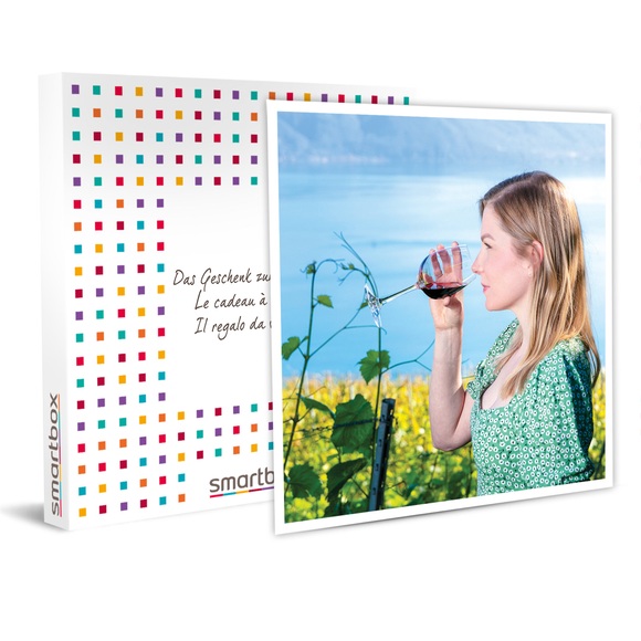 Weinkunde- und Verkostungskurs von 6 Weinen für 2 in einem von der Unesco klassifizierten Weingut in Épesses