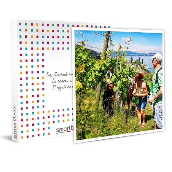 Weinwanderung mit Thurgauer Weinprobe und Apéro für 4 Personen