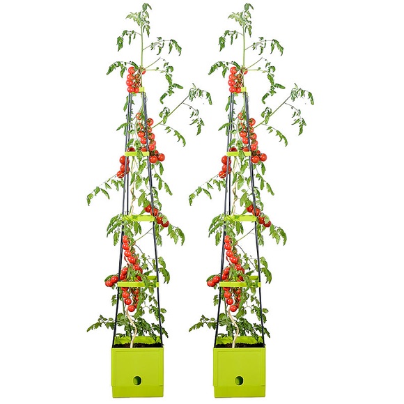 Royal Gardineer 2er-Set Pflanz-Türme mit Rankhilfe für Tomaten, mit 2,5-l-Wassertank