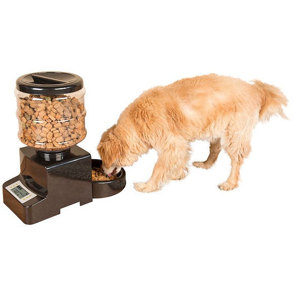 infactory Programmierbarer Haustier-Futterautomat mit Sprachansage, 5 Liter