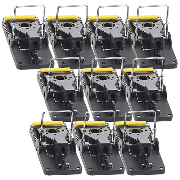 Exbuster Profi-Mausefalle, Kunststoff, hygienisch, wiederverwendbar, 10er-Set