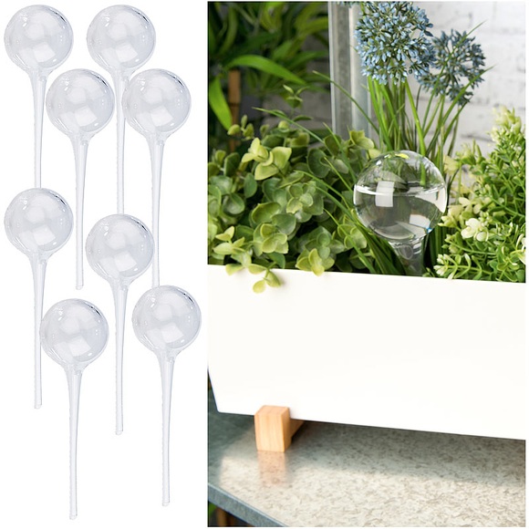 8er-Set Gießfrei-Bewässerungs-Kugeln aus Glas, transparent, Ø 6 cm