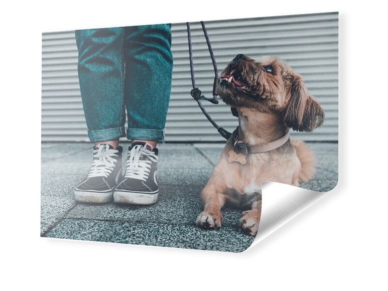 Foto Banner im Format 32 x 18 cm
