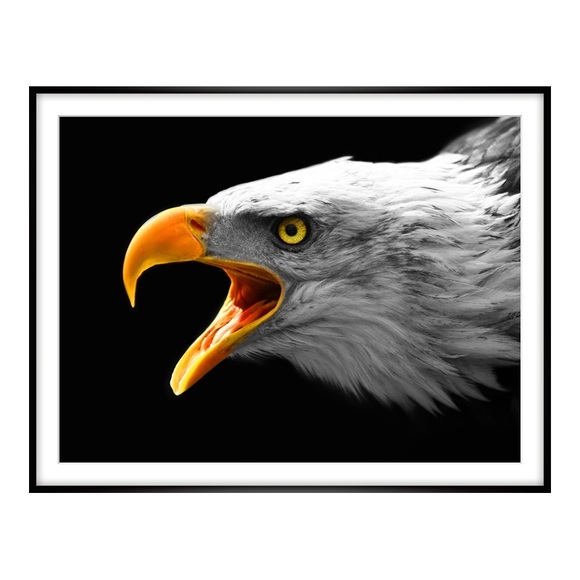 Poster im Alubilderrahmen eckig in schwarz DIN Format im Format 42 x 29,7 cm