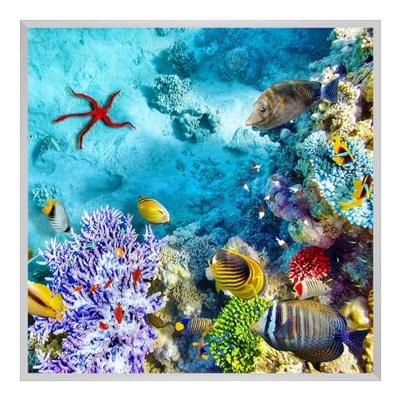 Poster im Bilderrahmen Aluminium eckig in silber quadratisch im Format 70 x 70 cm