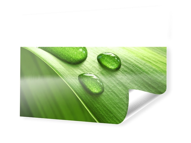 Foto auf PVC als Panorama im Format 120 x 20 cm