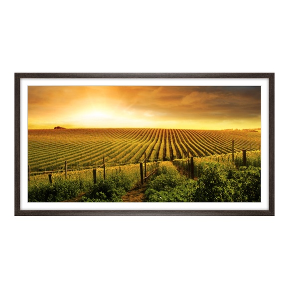Foto auf Poster im Format 50 x 25 cm im Holzrahmen im Format 50 x 25 cm, braun in braun als Panorama im Format 50 x 25 cm