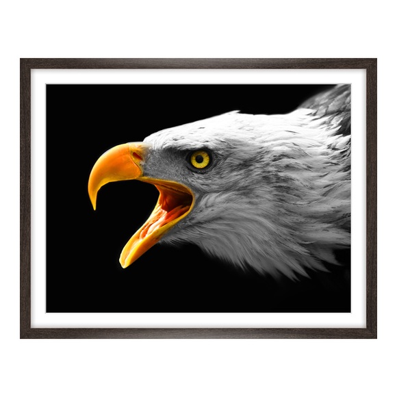Poster im Holzbilderrahmen gemasert in braun im Format 60 x 50 cm