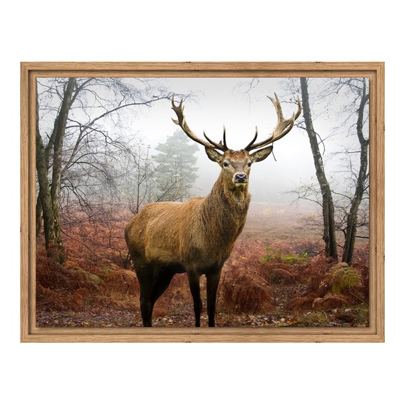 Aludibond im Schattenfugen Rahmen Eiche Natur DIN Format im Format 59,4 x 42 cm