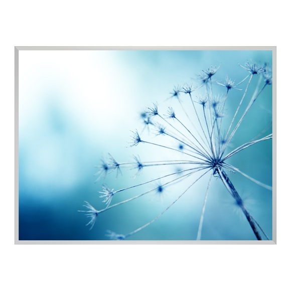 Poster im Alubilderrahmen eckig in silber DIN Format im Format 21 x 14,8 cm