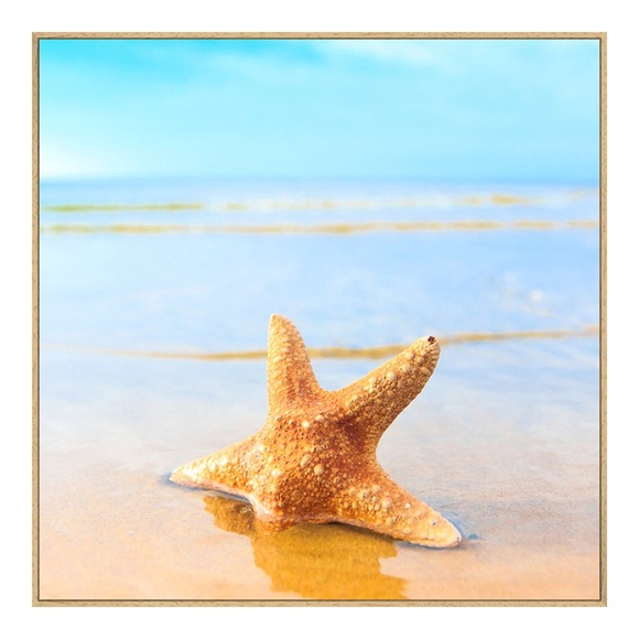Alu Dibond im Artbox Natur im Format 90 x 60 cm