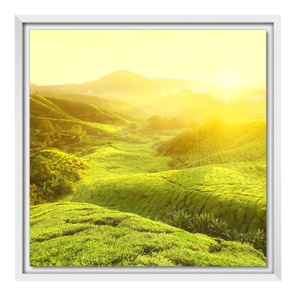 Fotobilder im Schattenfugen Rahmen in weiß im Format 64 x 36 cm