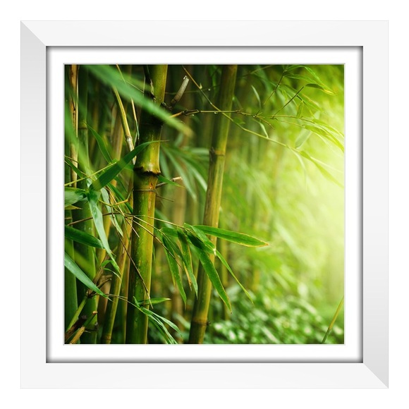 Print auf Hahnemühle im Bilderrahmen Holz breit in Galerie-Optik in weiß quadratisch im Format 40 x 40 cm