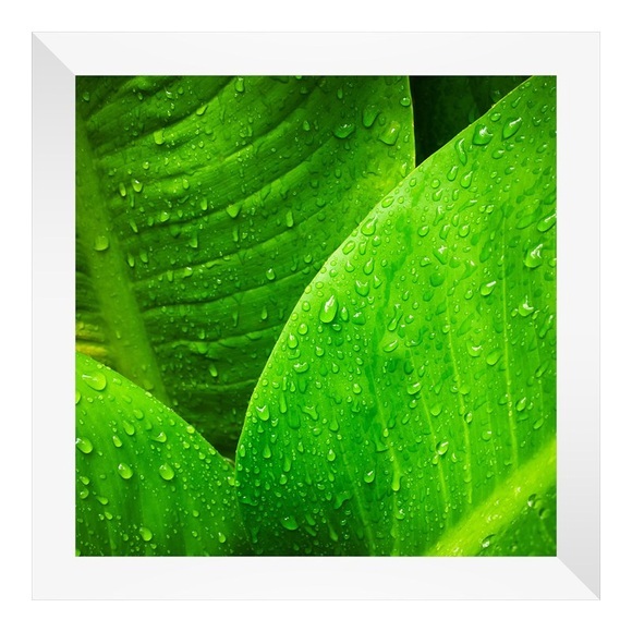 Print auf Hahnemühle im Bilderrahmen Holz breit in Galerie-Optik in weiß quadratisch im Format 60 x 60 cm