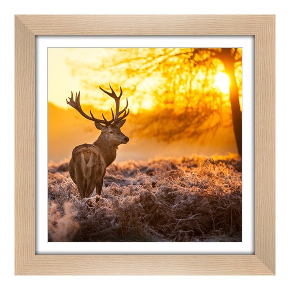Poster im Holzbilderrahmen gemasert im Format 60 x 50 cm
