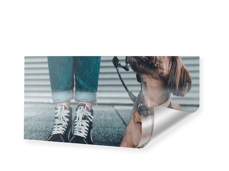 Foto auf Poster im Format 60 x 30 cm als Panorama im Format 60 x 30 cm