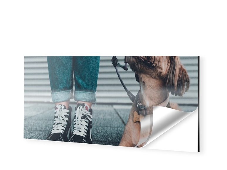 Foto auf Alu als Panorama im Format 70 x 35 cm