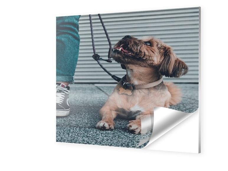Forex Direktdruck quadratisch im Format 100 x 100 cm
