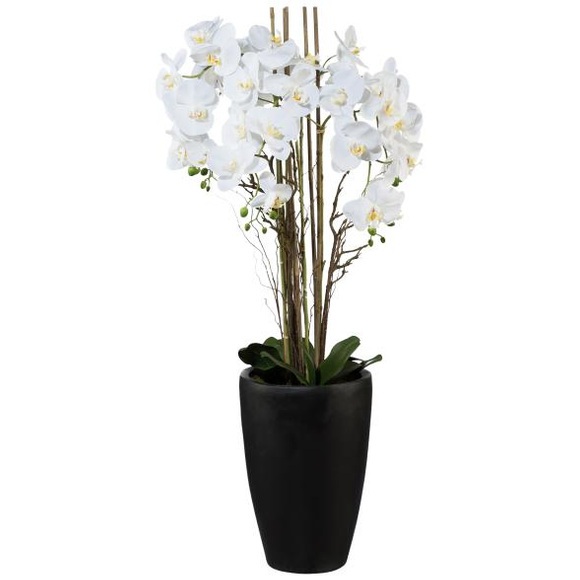 Orchid arrangement white in vase, XXL, 120 cm