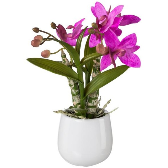 Japansk orkidé i keramikkruka, ca 32 cm
