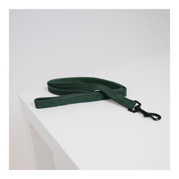 Kentucky Dogwear Hundeleine Lizard - grün