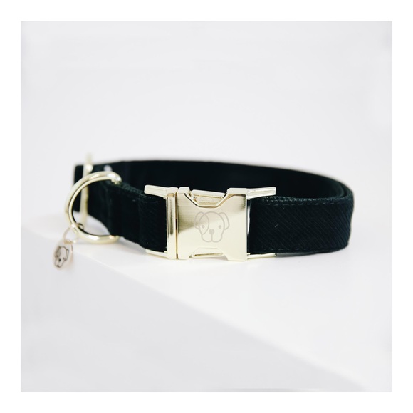 Kentucky Hundehalsband Corduroy