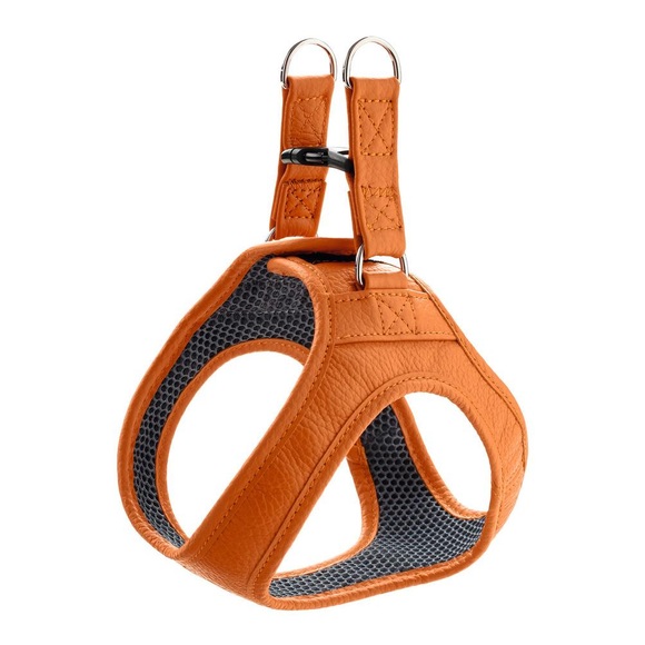 Hunter Geschirr Hilo - leder, orange
