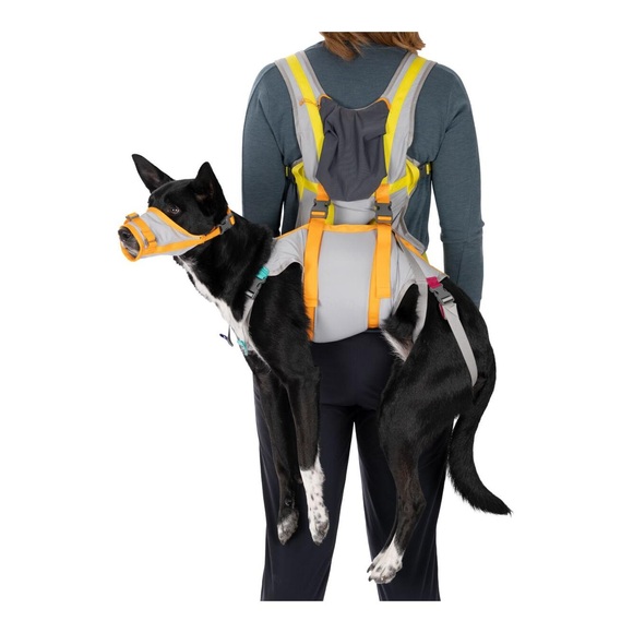 Ruffwear Hundenotfall-Set BackTrak Dog Evacuation Kit - Cloudburst Gray -