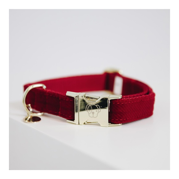 Kentucky Hundehalsband Corduroy