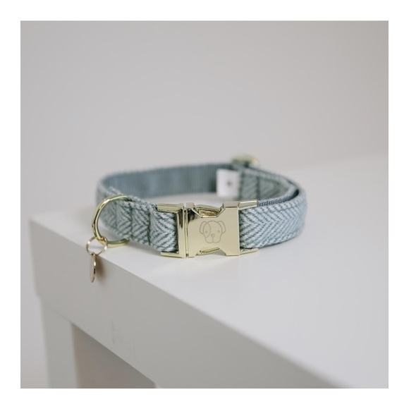Kentucky Dogwear Hundehalsband Wool - hellblau