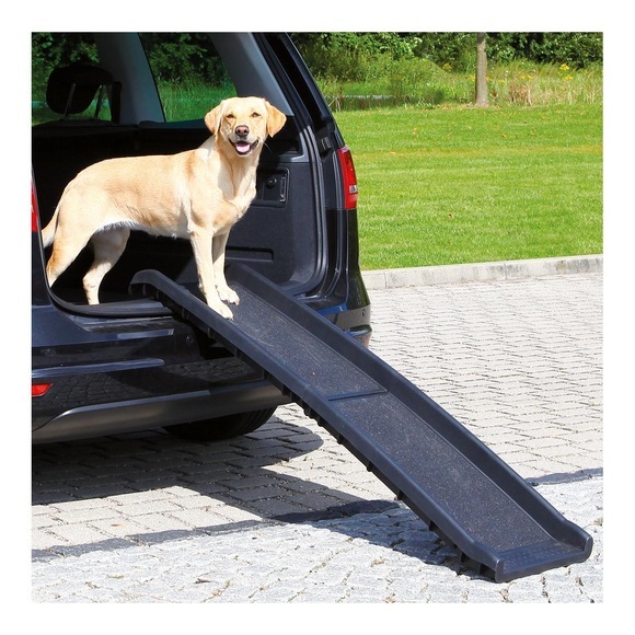 Trixie Klapp-Rampe Petwalk, Zubeh?rtyp