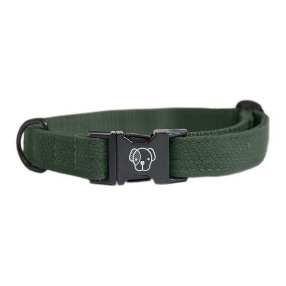 Kentucky Dogwear Hundehalsband Lizard - grün