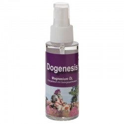Robert Franz, Magnesium-Öl Spray, 100ml