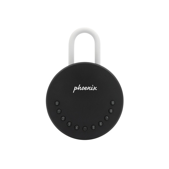 Phoenix Schlüsselbox KS0215ES 120 (B) x 54 (T) x 54 (H) mm 2 Haken