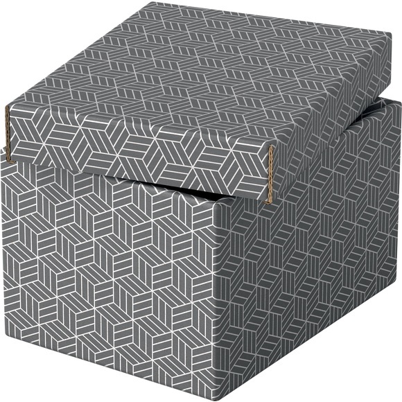 ESSELTE Aufbewahrungsboxen Home S 628281 255x200x150mm, grau 3 Stk