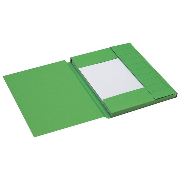 Jalema Aktenmappe 3 Laschen 3182108 A4 Grün Karton