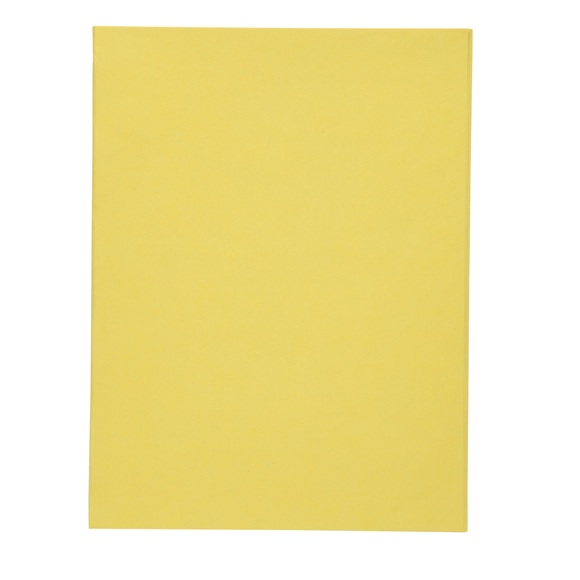 Exacompta Einlegmappe DIN A4 Gelb 170 g/m² Karton 100 Stück