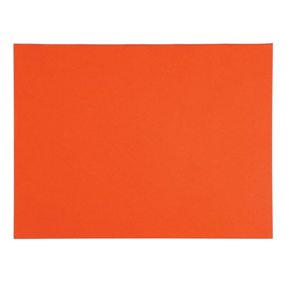 Exacompta Einlegmappe DIN A4 Orange 170 g/m² Karton 100 Stück