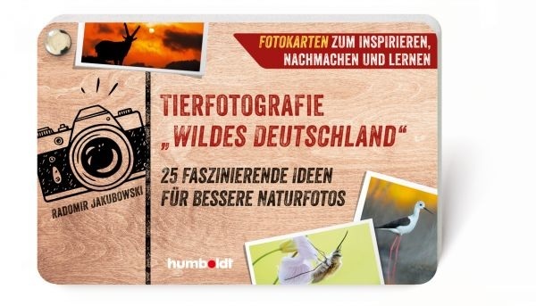 Tierfotografie 